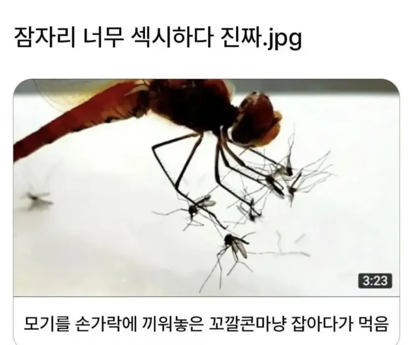 5373a1e67ed8d232e1b000f1ce520ce3_1753494669_7315.webp
