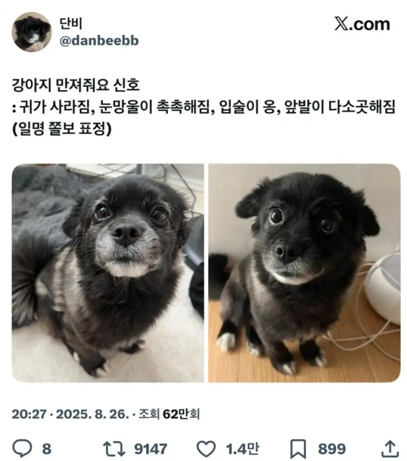 d7e8034076f38c681755780ab296cdaa_1756605167_9589.webp