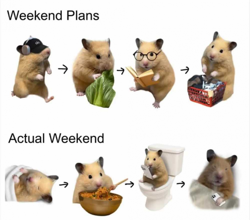 053b00ca84a5be4ecdde472c37f32404_1766907619_701.png
