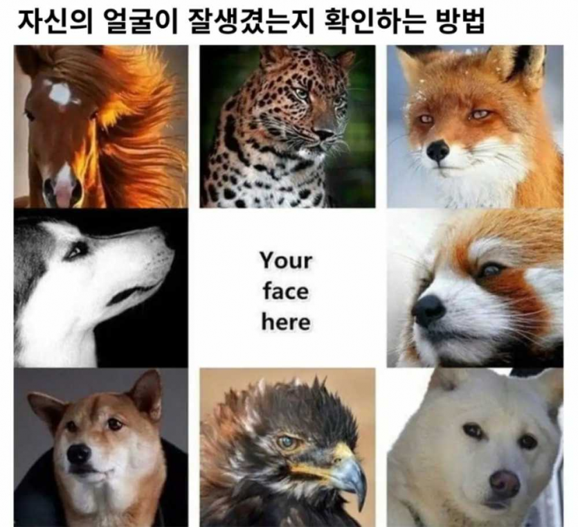 4ec5656ec5379283bd47321b17f771a2_1771443375_3917.png