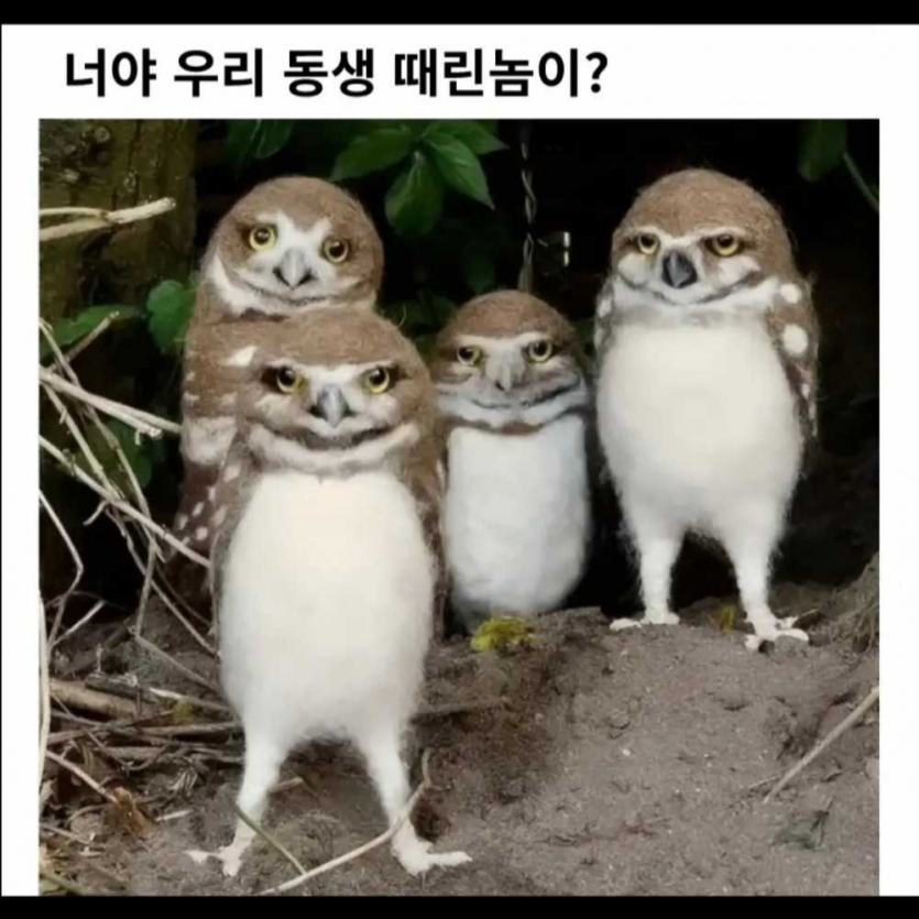 d615a88411b57f0a63d2f9134eb75aa9_1771277908_475.png