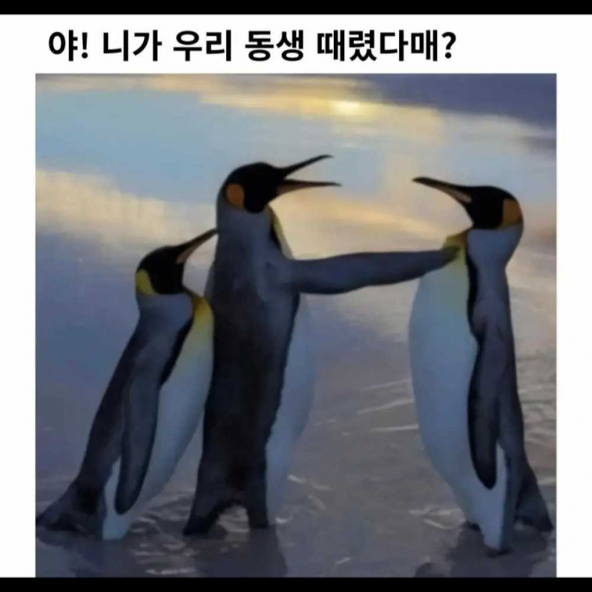 d615a88411b57f0a63d2f9134eb75aa9_1771277930_5173.png