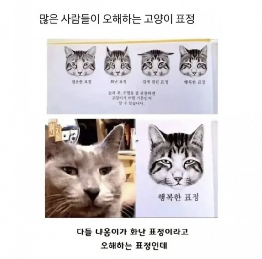 18ed1f0ae8838c5f7fd292b93f115bbe_1776069218_9029.PNG