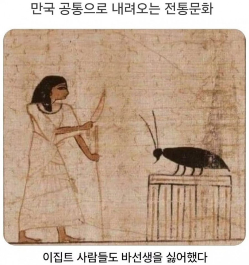 dd3cb7b01f61c571a4f6f38d5893a5ed_1779261116_808.PNG