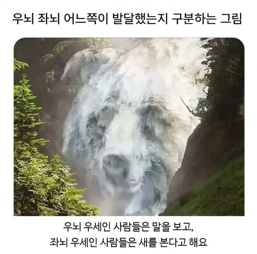 2cc5c6d454bc8cb86973277524d69251_1780875797_3648.webp